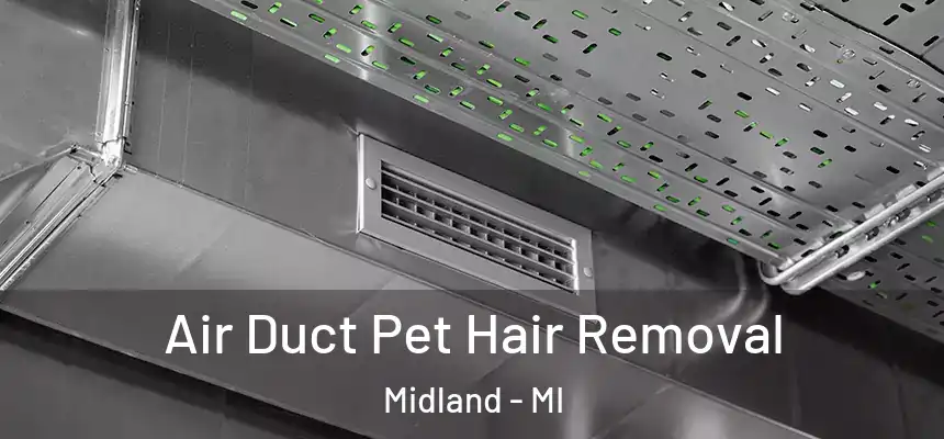  Air Duct Pet Hair Removal Midland - MI