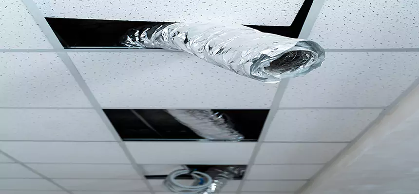 Our Air Duct Pet Hair Removal Services in Midland, MI