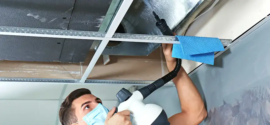 Our Air Duct Rodent Removal Services in Midland, MI