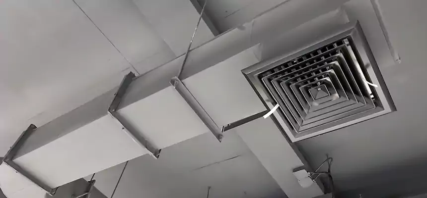 Our Pest Removal From Ducts Services in Midland, MI