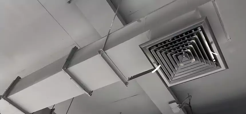 Our Rodent Droppings In Vents Services in Midland, MI