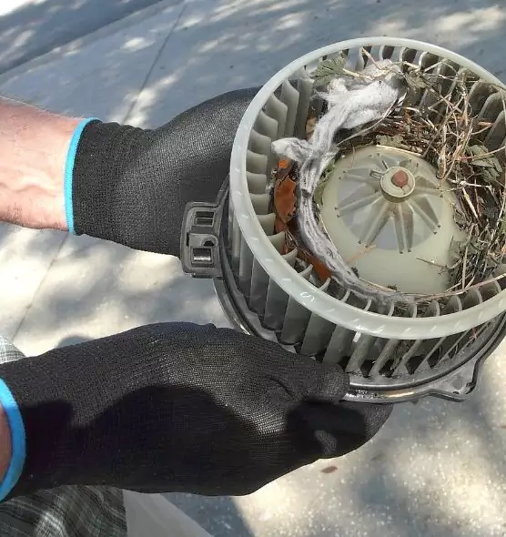 About Air Duct Mice Removal in Midland, MI