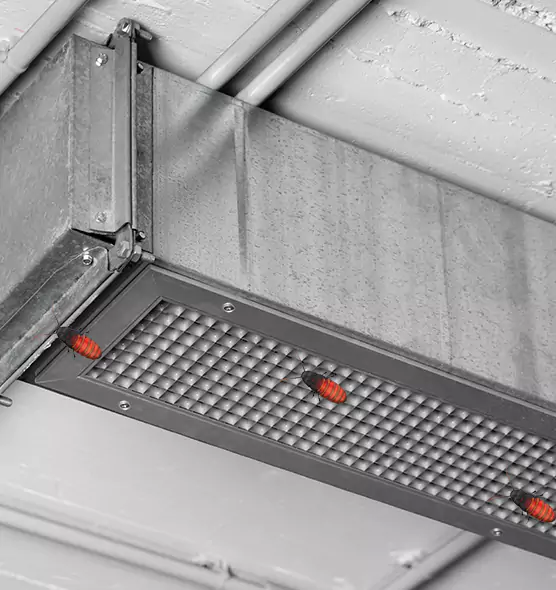 Affordable Insect Removal from Air Ducts in Midland, MI